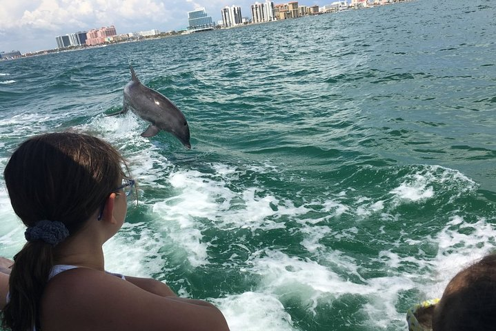 Little Toot Dolphin Adventure at Clearwater Beach  - Photo 1 of 9